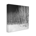 thumbnail image 3 of Stupell Industries Mysterious Snowy Forest Looming Nighttime Birch Trees Photograph Gallery Wrapped Canvas Print Wall Art, Design by Steve Smith, 3 of 5