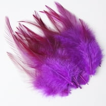 XmhyTop-A Feathers for Crafting,100pcs 3-5.9inch Craft Feathers,Bulk Feathers for Wedding Home Party,Dream Catcher Supplies and DIY Crafts,Dark Purple