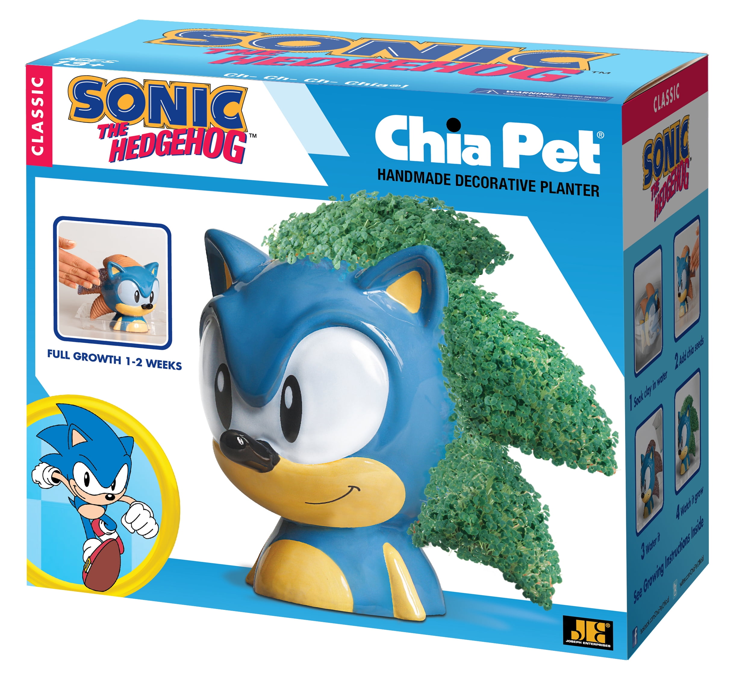 Chia Pet Sonic the Hedgehog Handmade Decorative Terracotta Pottery