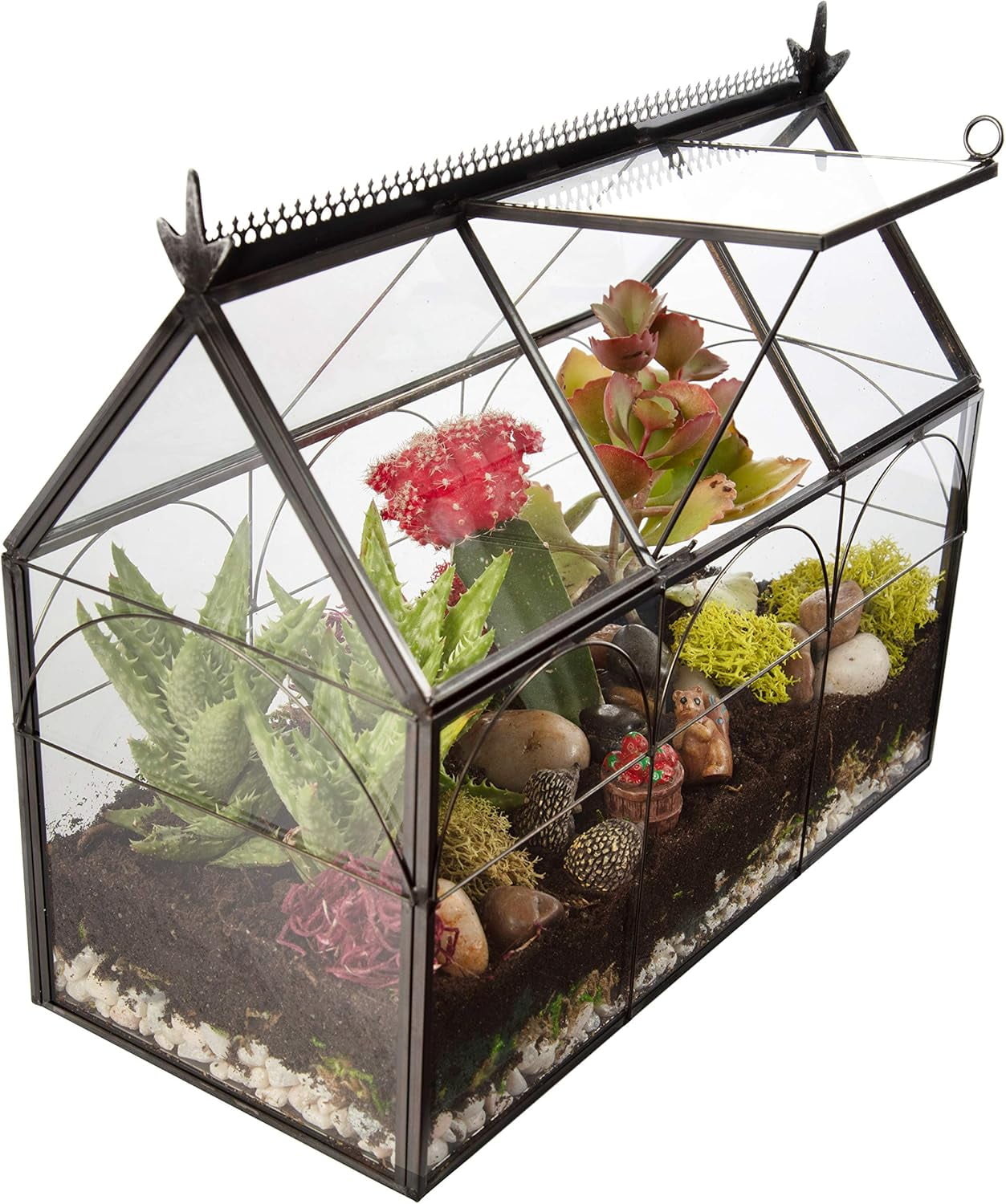 D'Eco Glass Greenhouse Terrarium (10x4.5x9) - Tabletop Black Hinged Geometric Planter - Succulents, Air Plants, Moss, Fern - Home, Garden Office & Wedding Decor - Gift for Plant Lovers