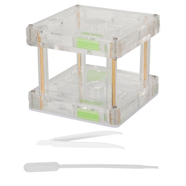 Casa Nido De Hormiga, Caja De Presentación De Nido De Hormiga, Acrílico De Alta Dureza De 3,9x3,9x3,5 Pulgadas Para Educación Sobre Insectos