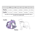 thumbnail image 4 of Pechera Arnés Con Correa Para Perro Talla XS Malubero Morado, 4 of 5