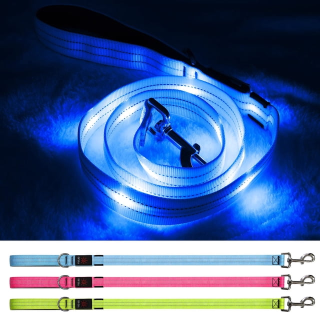 Correa LED para perros Blinlit, recargable, impermeable, 4 pies de nailon