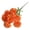 Z-Orange, variant on Garloy Real Touch Silk Flowers with Stems,Faux Carnations,Artificial Flowers Carnation Flower,Silk Carnations,Carnations Artificial Flowers,Carnation Flowers,Artificial Carnations,Orange,18.9"