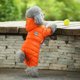 thumbnail image 3 of Ropa de invierno para perros, mono, cachorro, pomerania, caniche, bichón, schnauzer, corgi galés, ropa para perros, disfraz, abrigo para mascotas, atuendo, prenda, 3 of 5