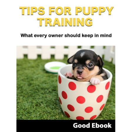 Tips For Puppy Training: What every owner should keep in mind - (Best Puppy Training Tips)