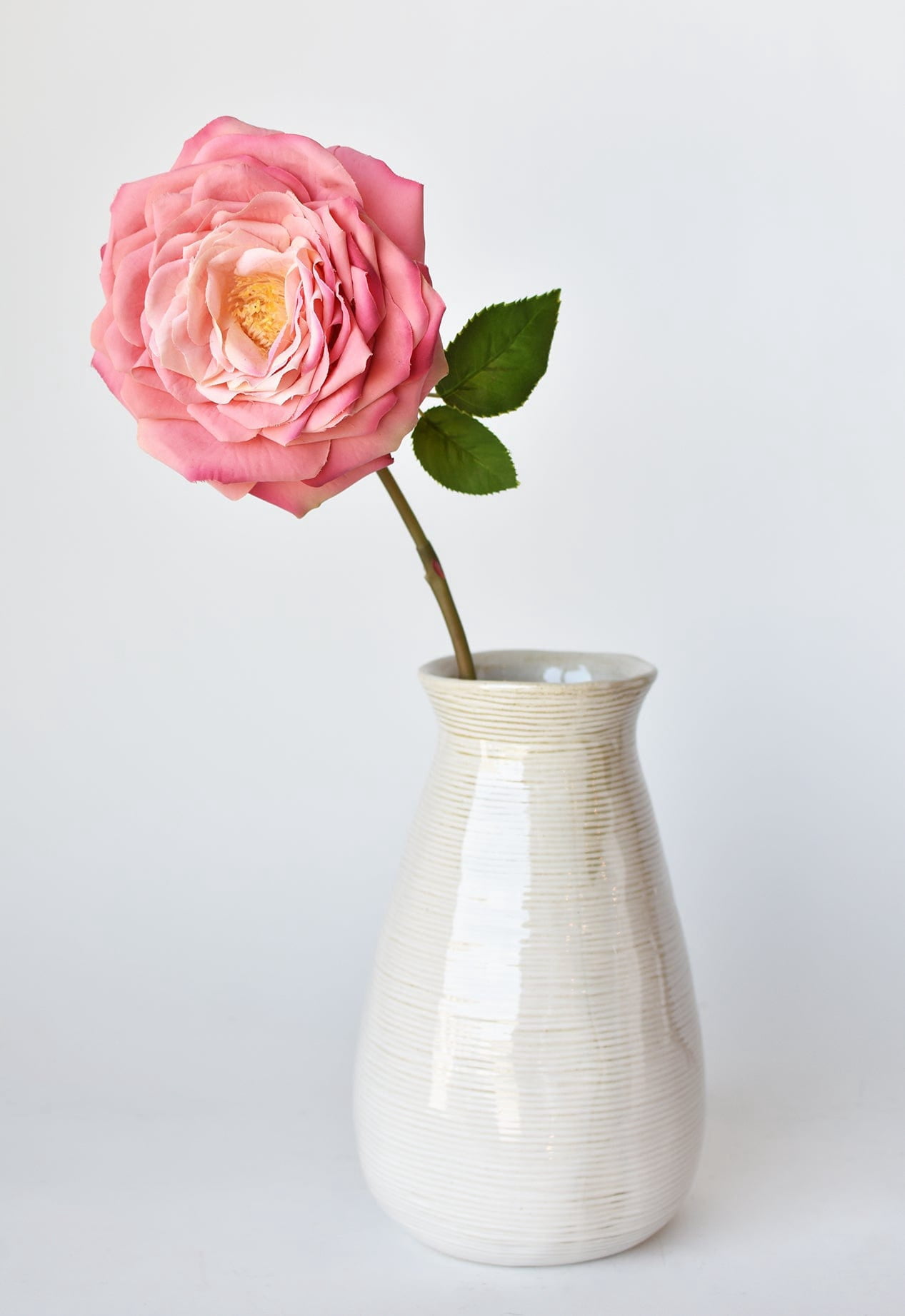 Park Place - 12 Piece Open Cabbage Rose Stem 20" Rose