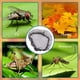 thumbnail image 3 of Organizador de cajones de bambú ajustable para cubiertos y utensilios,bandeja de almacenamiento de cocina ecológica con múltiples compartimentos, 3 of 9