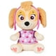 thumbnail image 1 of Peluche Skye de peluche Paw Patrol para dormir, 25 cm, niños a partir de 3 años, 1 of 4