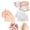 Pink+Transparent, variant on Briza Toe Sleeves, 2/4 Pairs Silicone Toe Sleeves Toe Protectors, Breathable Soft and Comfortable Gel Toe Separators & Toe Spacers for Men Women (ONE SIZE,White+Transparent)
