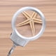 thumbnail image 5 of Lámpara De Escritorio Con Lente Grande, Lupa Iluminada, Lupa, Manguera De Metal Suave Para Monedas, Sellos, Joyas Con Abrazadera De Luz LED, 5 of 7