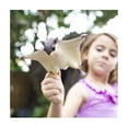 thumbnail image 3 of Safari Ltd. Flying Squirrel Figurine - Lifelike 6.5" Model Figure - Educational Toy for Boys, Girls, and Kids Ages 18 months+, 3 of 7