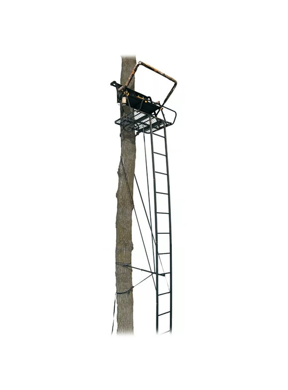 Two Man Ladder Stands in Tree Stands