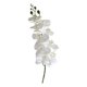 thumbnail image 2 of CaiYueKe Artificial Silk Phalaenopsis Orchid Stems Fake Flowers Home Decor Wedding Centerpiece Table Arrangement Real Touch Floral Decorations for Living Room Office Party, 2 of 7