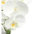thumbnail image 6 of MELLCO 70CM 8 heads Artificial Phalaenopsis Flowers Branches Silk Orchids Flowers for Home Office Wedding Decoration (1pc White), 6 of 8