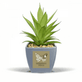 thumbnail image 1 of Fly News Retro Art Deco  Fashion Fake Pineapple Flower Pot Vase Mini Decor, 1 of 3