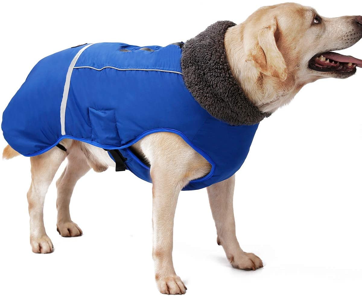 warmest dog coat ever