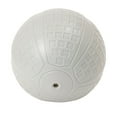 thumbnail image 4 of Ballon d’exercice 6 lb GoZone – Blanc, 4 of 5