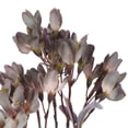 thumbnail image 2 of Vickerman 25.5" Purple Artificial Primrose Flower Spray, 3 per bag., 2 of 3