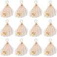 thumbnail image 1 of 1 caja de 20 cuentas de concha blanca, hechas a mano, envueltas en alambre, conchas marinas naturales, cuentas de estrella, abalorios de concha marina de verano, océano, Hawái, 1 of 6