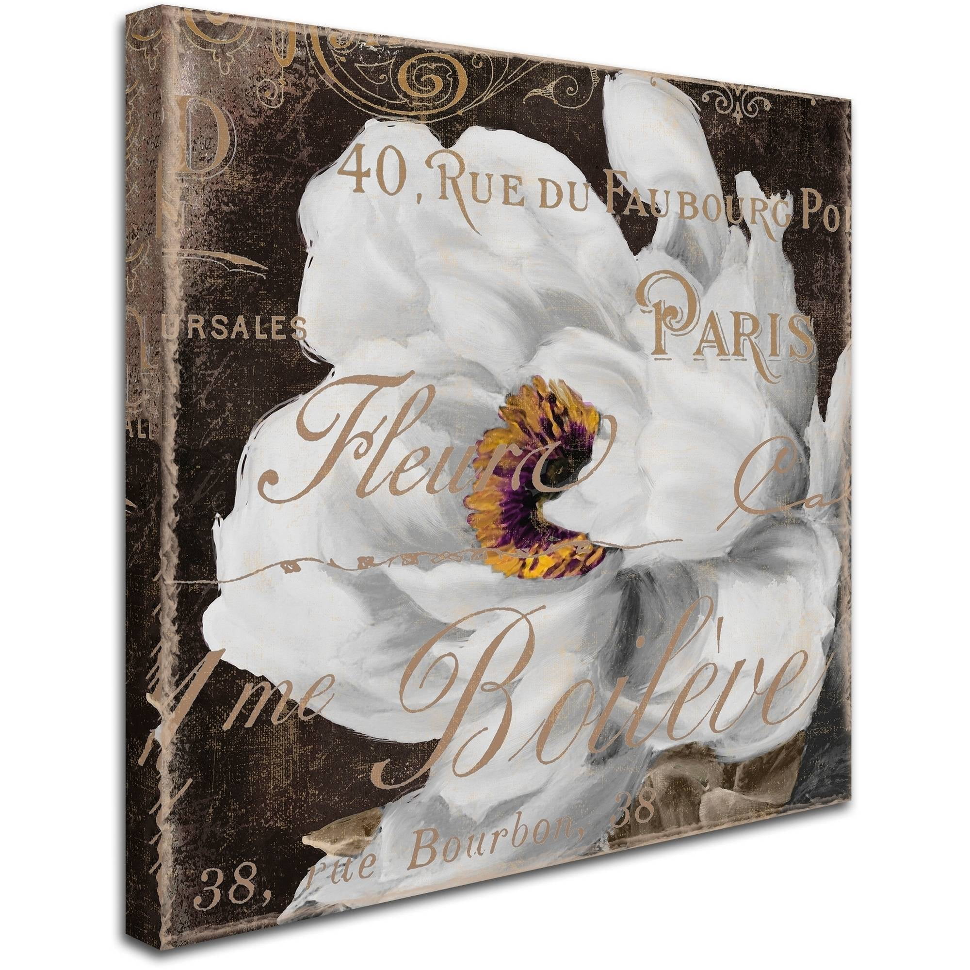 Trademark Fine Art "Fleurs Blanc III" Canvas Art by Color Bakery