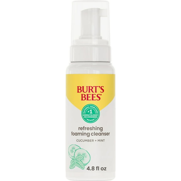 Burt's Bees Gentle Foam Cleanser, Normal to Combination Skin, 4.8 oz