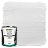 ColorPlace Exterior Latex House Paint, White,1 Gallon, Flat