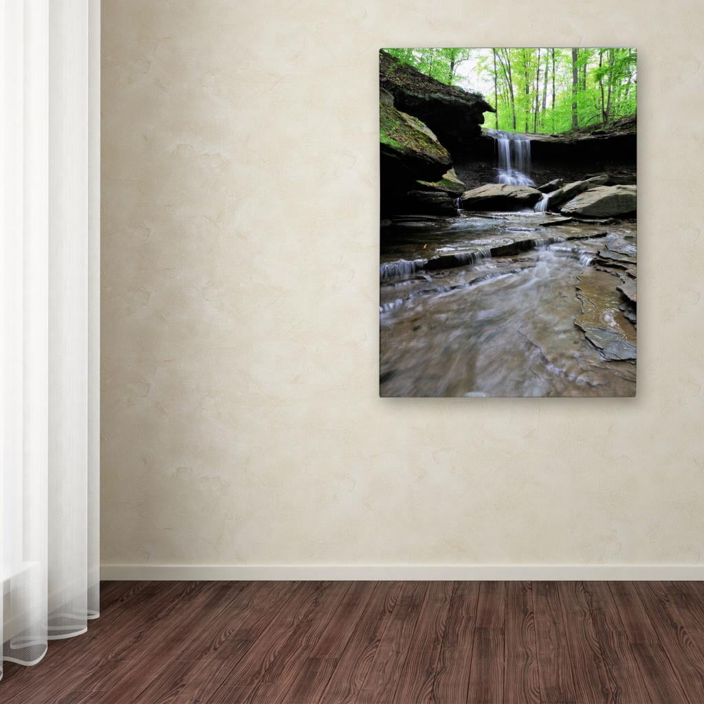 Trademark Fine Art "Blue Hen Falls in Spring" Canvas Wall Art by Kurt Shaffer
