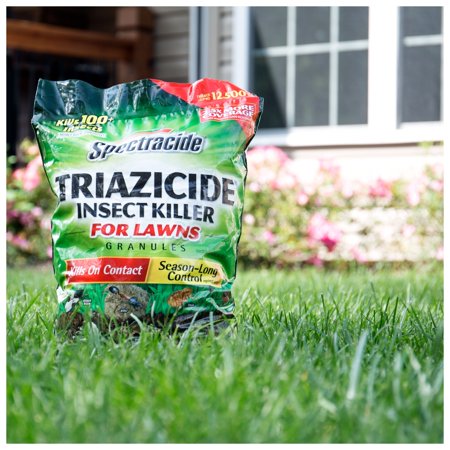 Spectracide Triazicide Insect Killer For Lawns Granules 10 Lbs Best Insect Pest Control