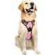 thumbnail image 3 of Rabbitgoo Arnés para Mascotas sin Tirones con 2 Clips para Correa, Acolchado Suave Ajustable, Chaleco Oxford Reflectante para Mascotas sin asfixia con asa de fácil Control para Perros Grandes, Rosa, L, 3 of 4