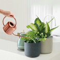 thumbnail image 4 of 34oz/1L Stainless Steel Watering Can - Indoor/Outdoor Plant Watering Can with Long Spout, Rust-Proof for Succulents, Houseplants, Garden - Modern Minimalist Design (Copper Color), 4 of 4