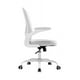 thumbnail image 2 of Silla de Oficina Bluelander, Silla Ergonómica, Altura Ajustable Reclinable 90°, Soporte Lumbar, Descansabrazos, Gris, 2 of 4