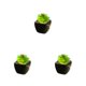 thumbnail image 1 of Plantas En Macetas De Cerámica Toystoory Suculentas Verdes Artificiales, 1 of 6
