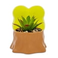 thumbnail image 4 of Mini maceta plateada con tocón de búfalo Sanrio Keroppi con suculentas, 4 of 8