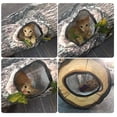 thumbnail image 4 of Túnel para gatos túnel para gatitos tubo lavable gran espacio plegable para cachorros para conejos para interiores ANGGREK Otros, 4 of 8