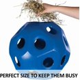 thumbnail image 6 of Schneiders Slow Feed Hay Ball Feeder for Horses | Color Red Horse Stable Companion | Slow Feed Consumption | Boredom Buster | Durable Polyethylene, 6 of 8