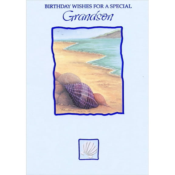 Designer Greetings Shells and Rocks on Beach with Squiggly Blue Foil Frame Grandson Birthday Card