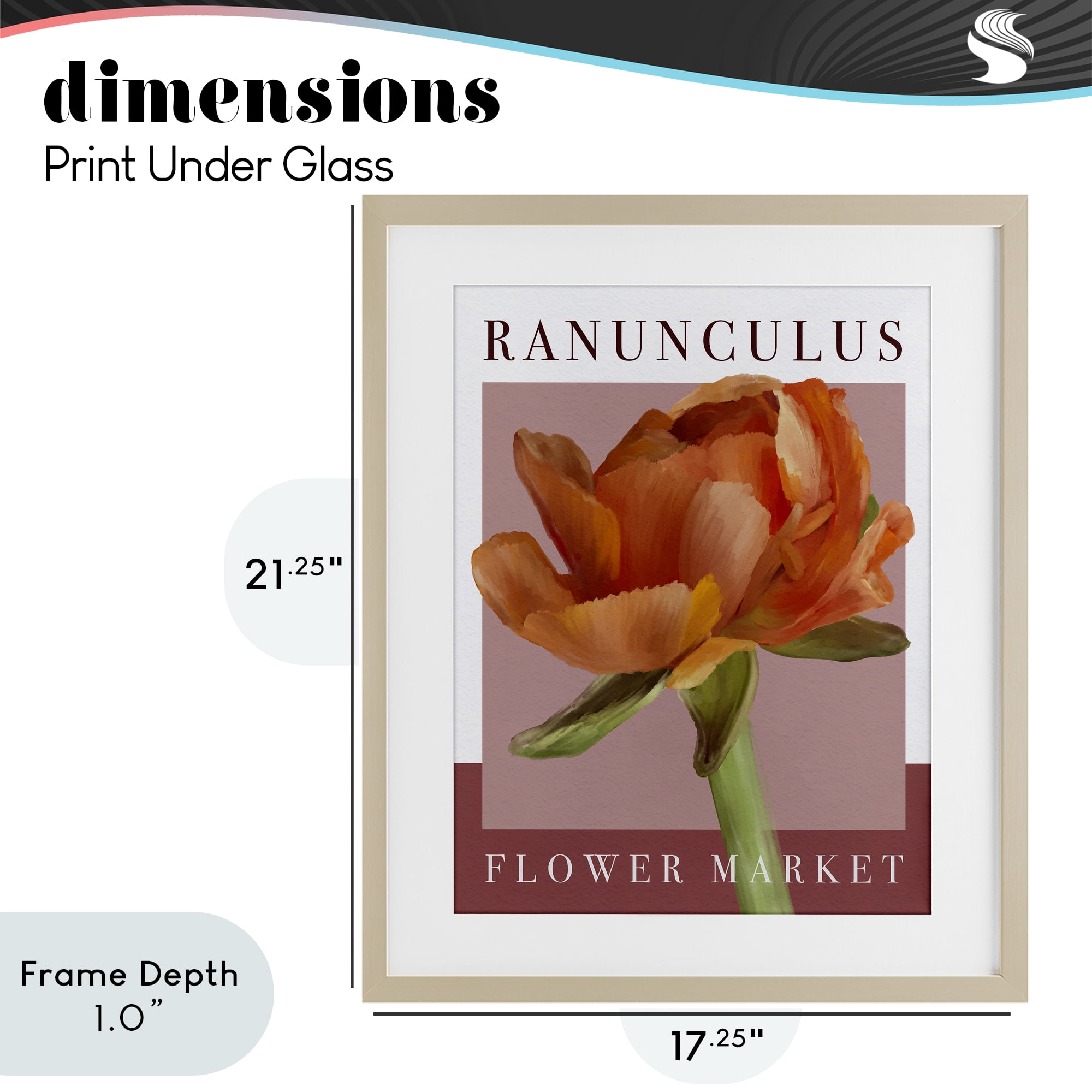 Stupell Industries Ranunculus Flower Market Birch Framed Print Under Glass, design by Jennifer Stith