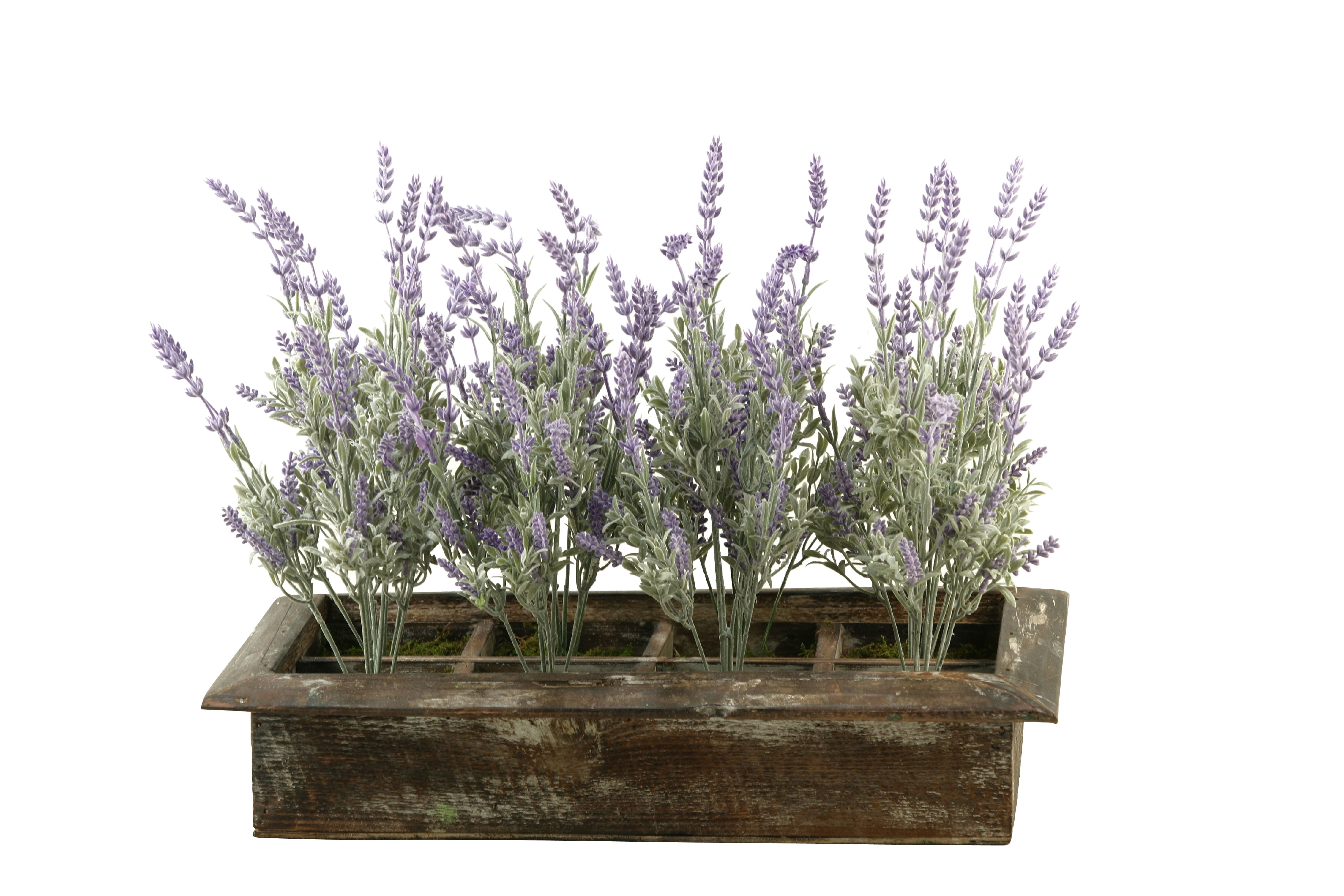 D&amp;W Silks Lavender in Rectangle Wood Planter Box Walmart