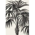 thumbnail image 2 of Wild Apple Portfolio 13x18 White Modern Wood Framed Museum Art Print Titled - Riviera Palms II BW, 2 of 4
