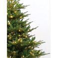 thumbnail image 2 of Holiday Stuff 5Ft Pre-lit Rocky Mountain Fir Wide Artificial Christmas Tree (5ft Pre-lit), 2 of 7
