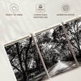 thumbnail image 6 of Elephant Stock Bw Forest Path Wall Art - Horizontal Multi Panel Canvas - Living Room Wall Decor - Floral And Botanical Multi Panel - Black And Beige Decor - 26" x 12", 6 of 8