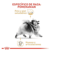 thumbnail image 2 of Alimento Croqueta Pomeranian Adulto 4.5Kg Royal Canin, 2 of 4