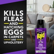 Raid Flea Killer Carpet & Room Spray with 4 Month Flea & Tick Control, 16 oz