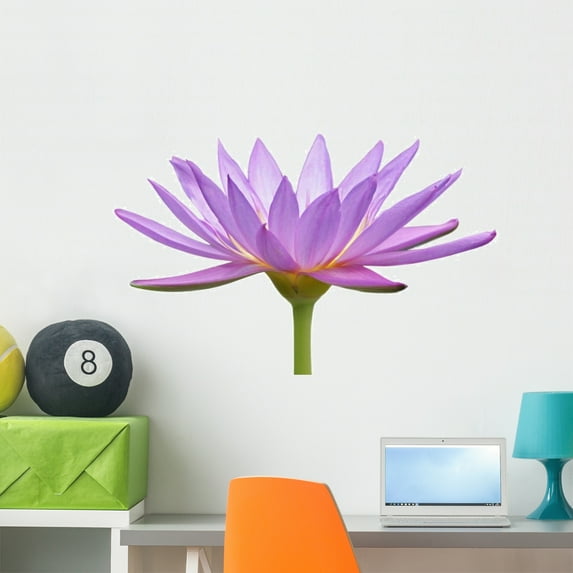 Water Lily Flower Wall Decal by Wallmonkeys Peel and Stick Graphic (36 in W x 23 in H) WM138495