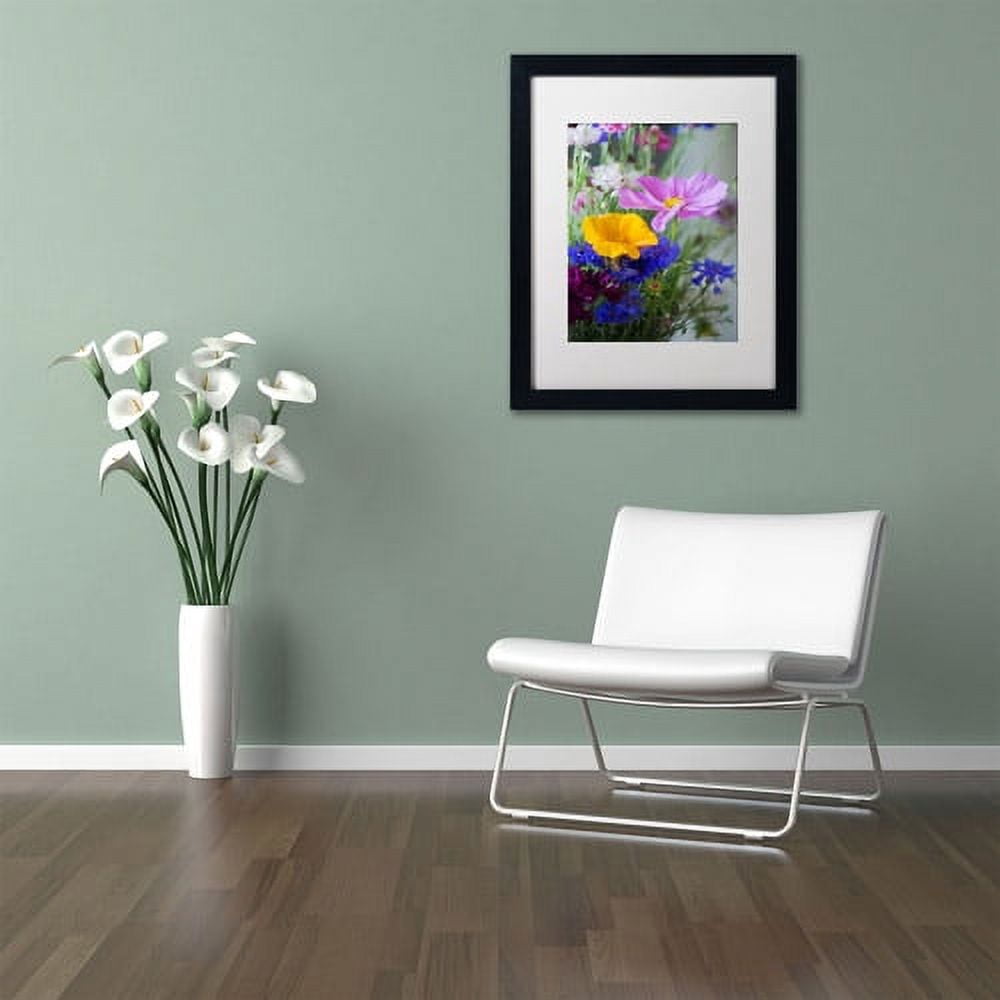 Trademark Fine Art "Cosmo Duo" Canvas Art by Philippe Sainte-Laudy, White Matte, Black Frame
