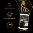 thumbnail image 4 of Suplemento PVL Creapure Creatine 240 g - 48 porciones, 4 of 9