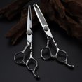 thumbnail image 3 of Tijeras plateadas de 6,0 pulgadas, tijeras de peluquería con forma especial, tijeras de corte de pelo, corte plano, corte de flequillo, 1 pieza Botao, 3 of 5