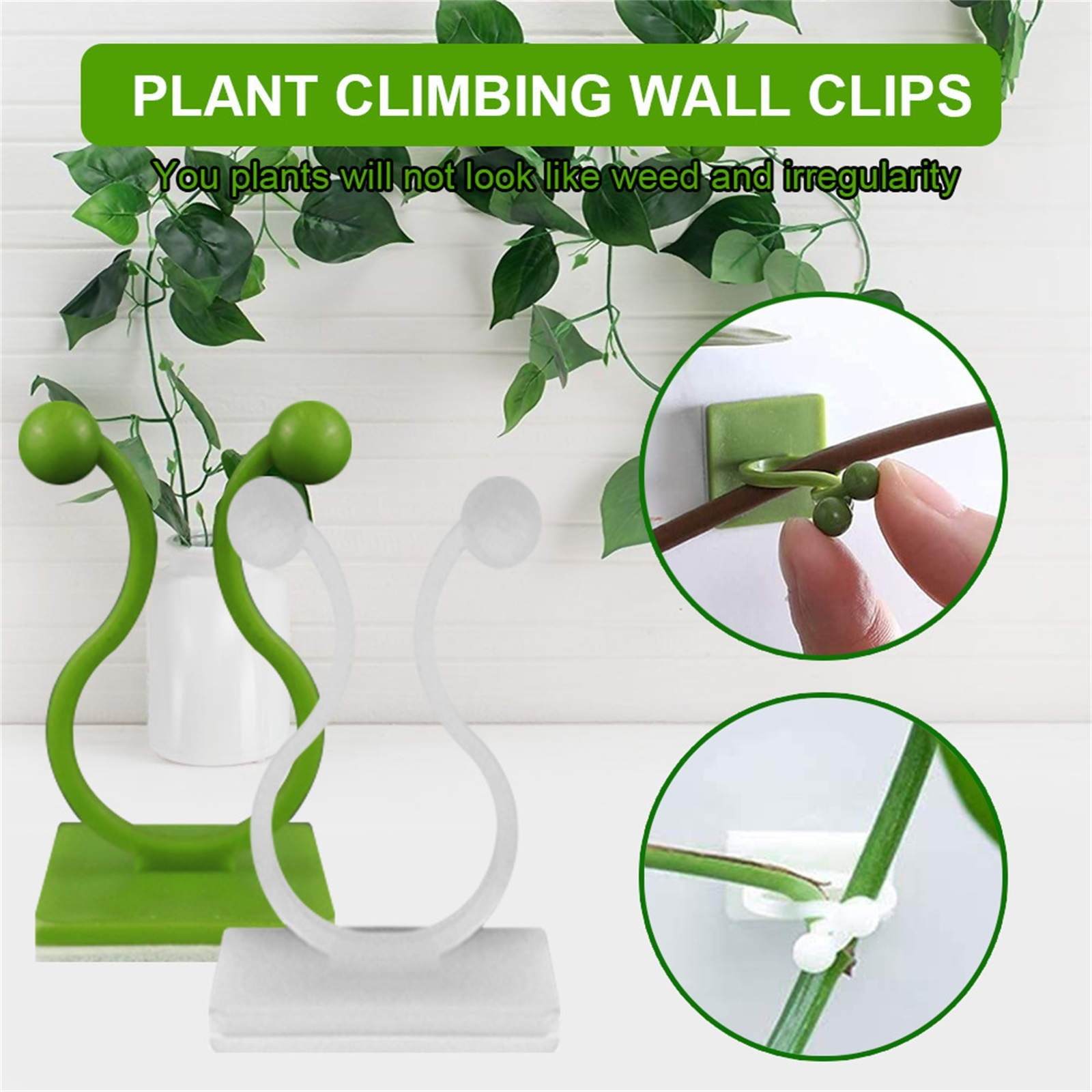 Pedty Pothos Plant Clip,Small 200 Pack,200 Plant Climbing Wall Fixture Clips  Self Adhesive Plant Hooks for Wall Plant Support Vine Wall Clips for  Climbing Plants Indoor,Gn1 Fastener,200*Fixer - Walmart.com