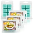 thumbnail image 5 of Cucumber Melon Scented Wax Melt - 1 Pack - 2 Ounces - 6 Cubes, 5 of 5